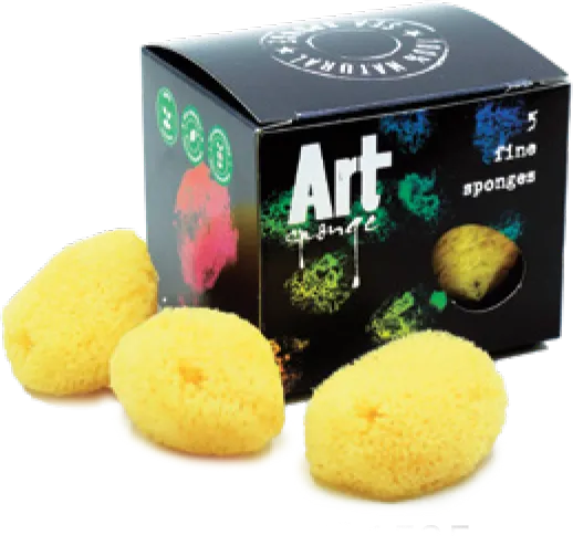 Large sponge assortment